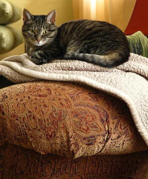 Makayla snug and warm