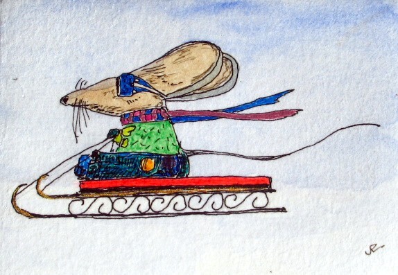 Miljo winter fun