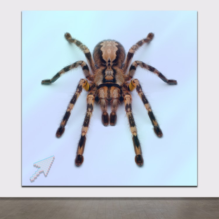 Re: ANDREW CAMPBELL: BRITISH ARTIST: ART STUDIO PROTOTYPES: ANTHROPOLOGICAL NETSCAPES: 14