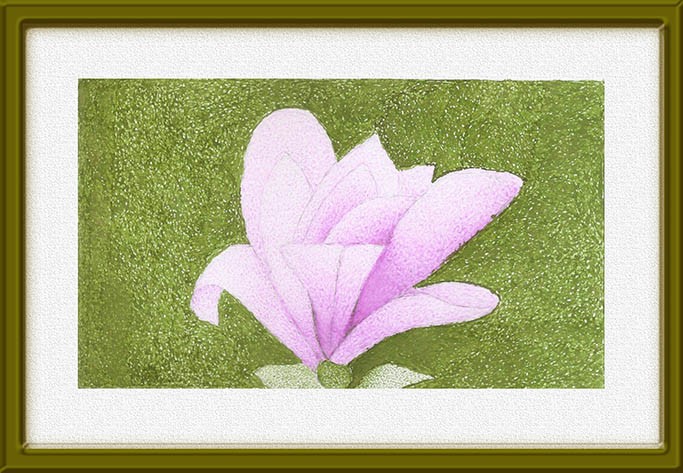 Flor do pântano1