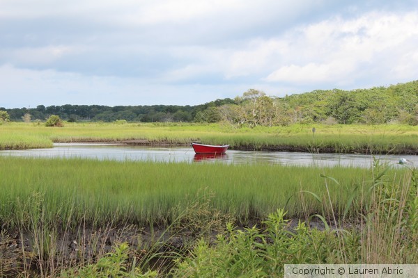 Little Red Boat