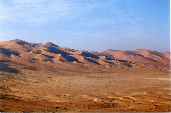 Gulf desert