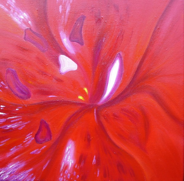 Red Iris