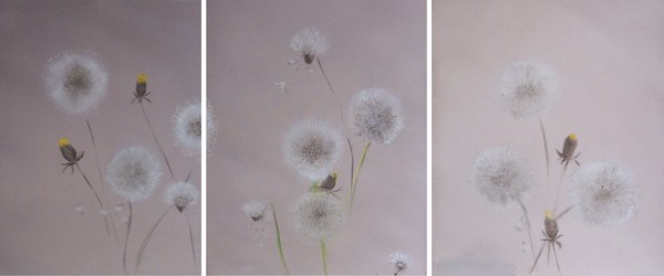 dandelion clocks