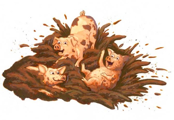 Pig Splash!