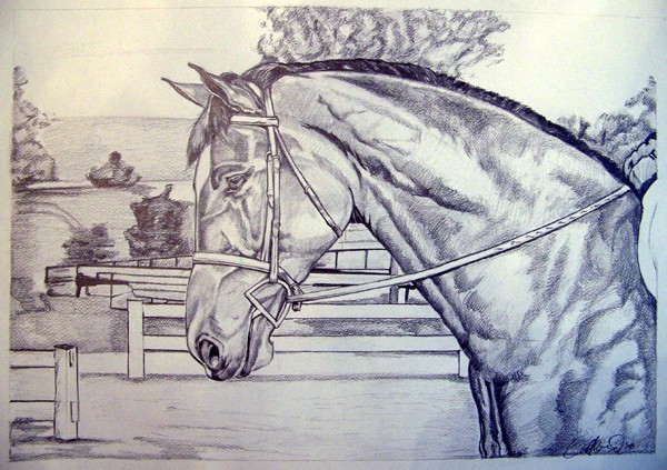 Marni's Horse