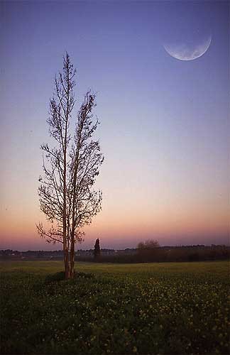 last light