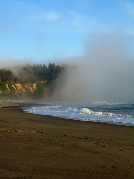 Beach at LaPush