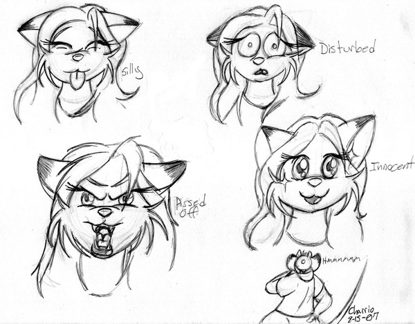 Moods Of Mewmew, Sketch