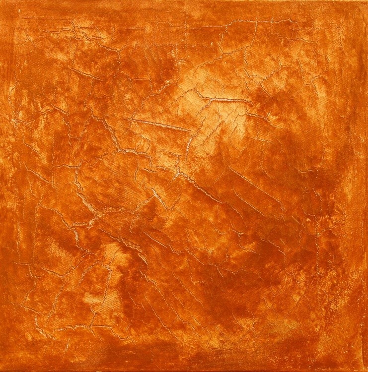 Golden stardust fallen on the cold Sahara desert sand.