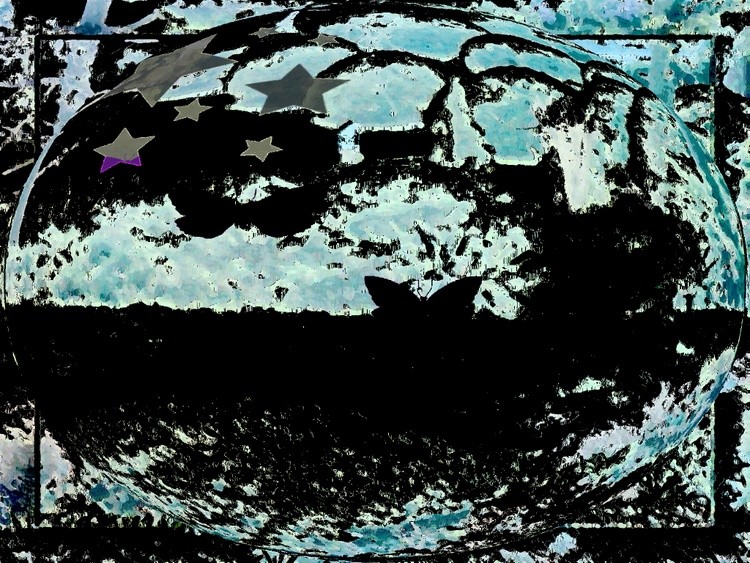 Picture from camera 271 YARD STAR 2