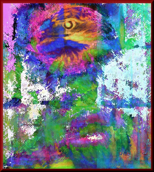 animales 44