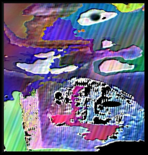 Reptile 52