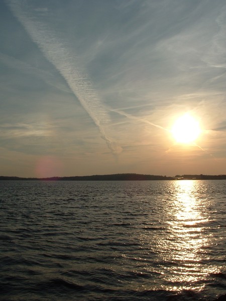 Mr. Golden Sun