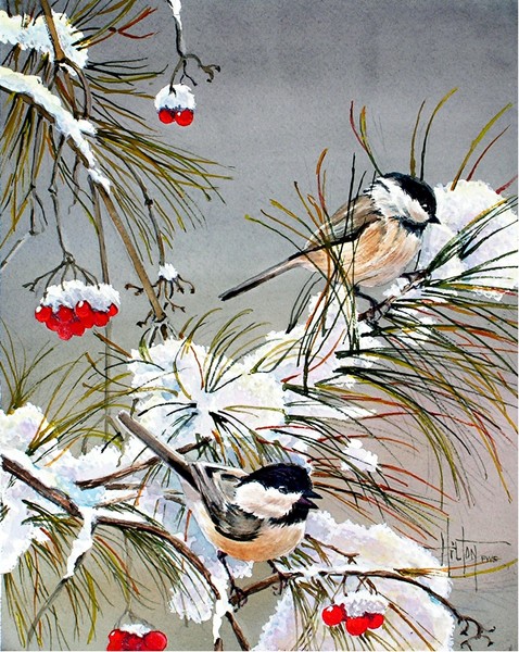 Chickadees