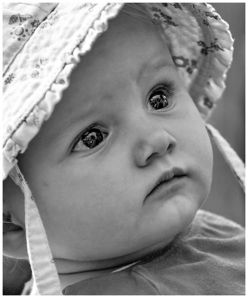 Observation 