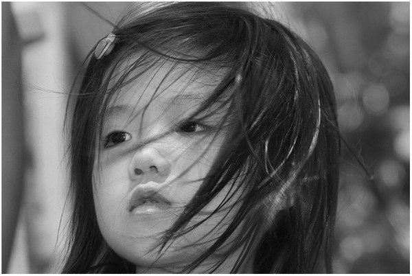 Against The Wind