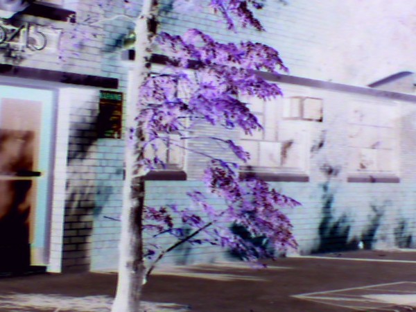Reverse