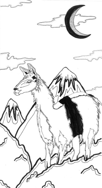 Llamas Night