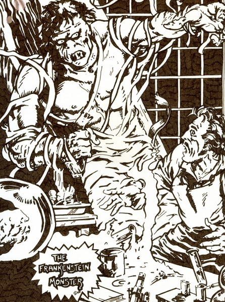 The Frankenstein Monster
