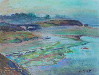 tidal estuary, June dawn
