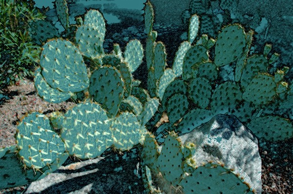 CactusFelt
