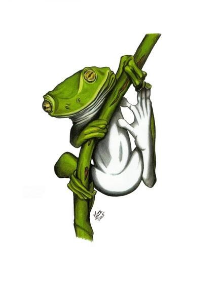 Ashtyn's Frog