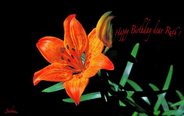 Happy Birthday dear Ruth !