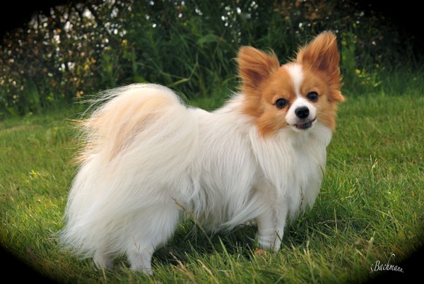 Oliver 7 years old, to day !