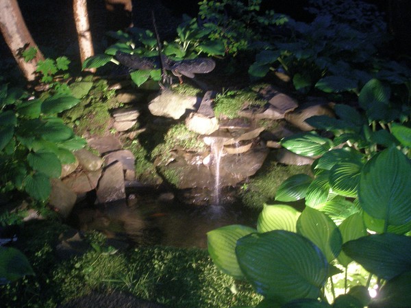 my pocket pond