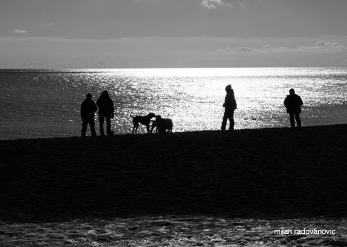 Where friends meet