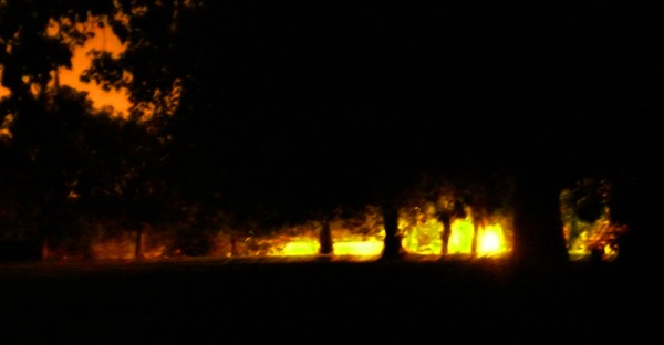 night