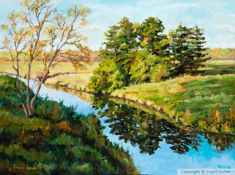 Country Stream