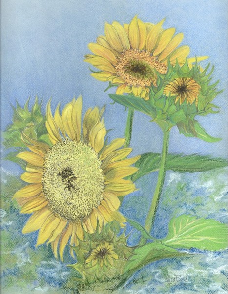 Garden Beauties