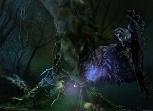 The Battle