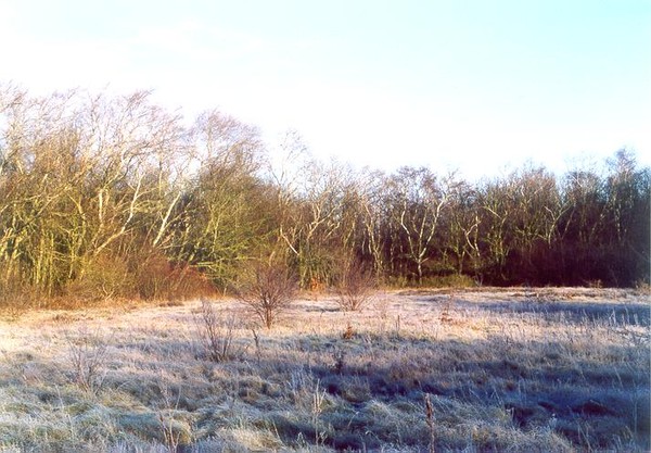 Winterlandscape 3