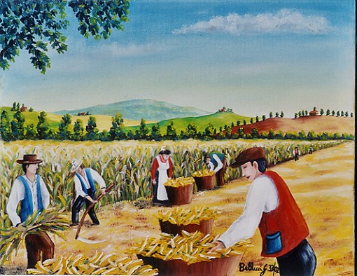 Raccolta di Mais 33-2002