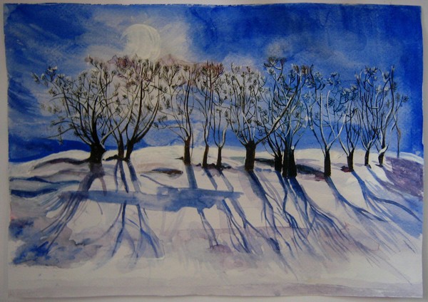 reflections of the trees on the snow