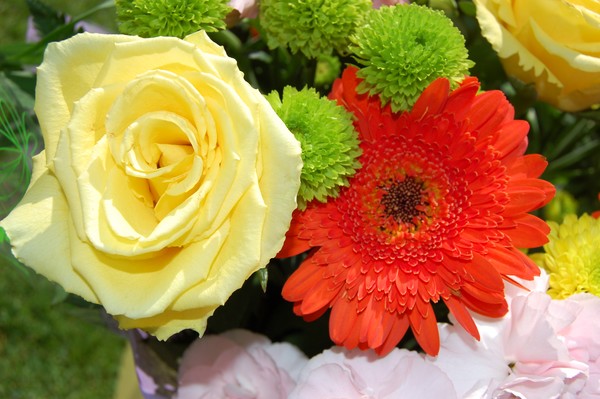 Bouquet