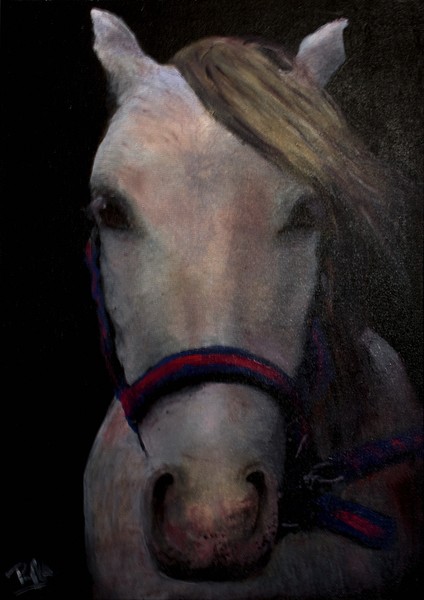 Silver - 18x24inches - Oil on Stretched Canvas.