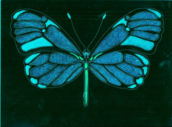 Sparkle Fly