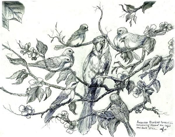 American Bluebird Convention about Arnold
