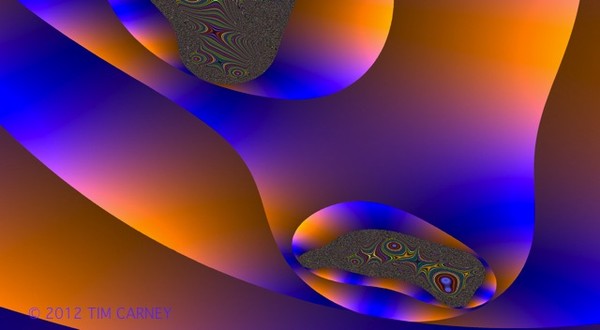 Fractal Embryos 55