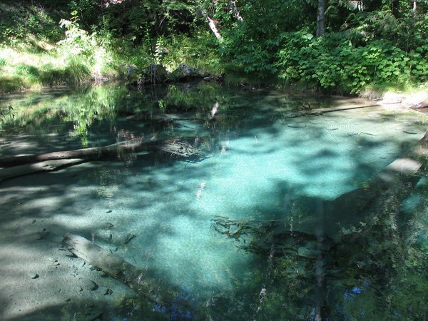 Natures pool