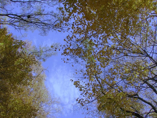 fall!