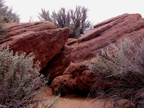 Red rocks