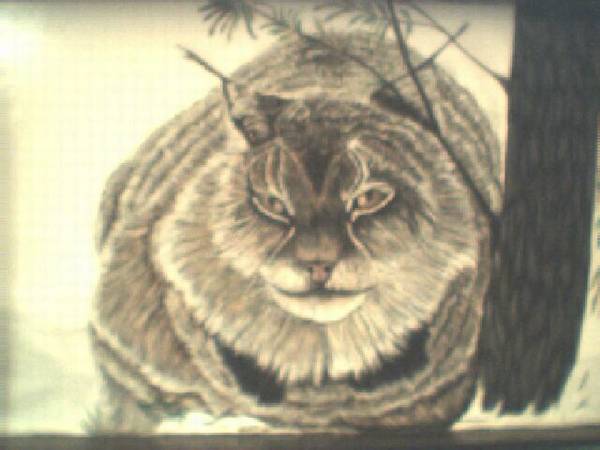 linx