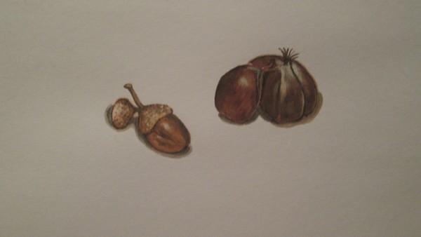 nuts