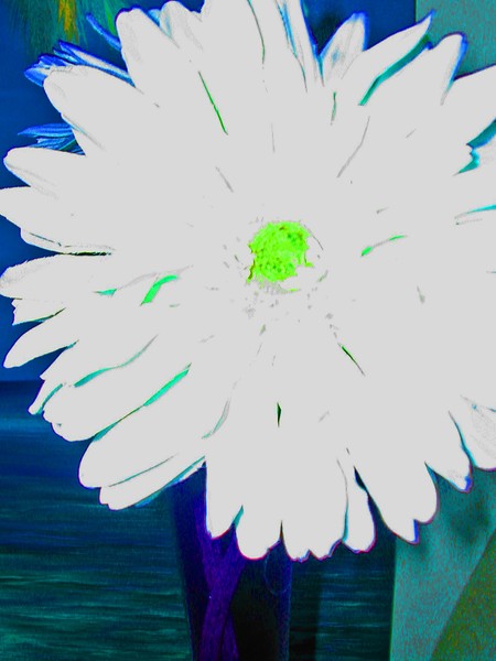 YELLOW DAISY HEART