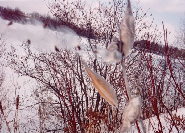 Scan57